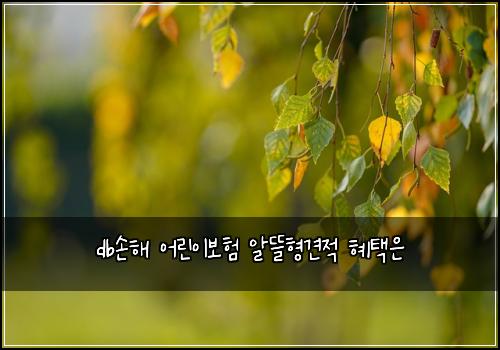 db์ํด ์ด๋ฆฐ์ด๋ณดํ ์๋ฐํ๊ฒฌ์ ํํ์
