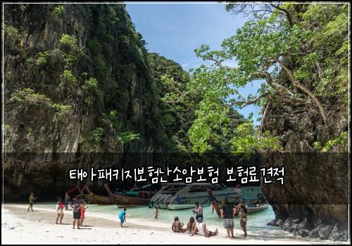 ํ์ํจํค์ง๋ณดํ๋์์๋ณดํ ๋ณดํ๋ฃ๊ฒฌ์ 