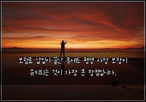 보험료 납입이 끝난 후에도 평생 사망 보장이 유지되는 것이 가장 큰 장점입니다.