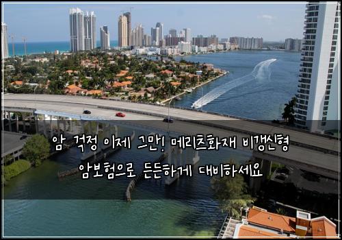  암 걱정 이제 그만! 메리츠화재 비갱신형 암보험으로 든든하게 대비하세요