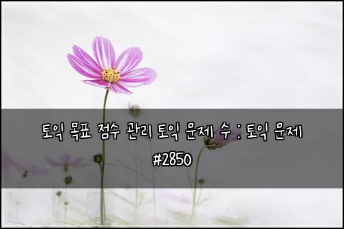 토익 목표 점수 관리 토익 문제 수 : 토익 문제 #2850