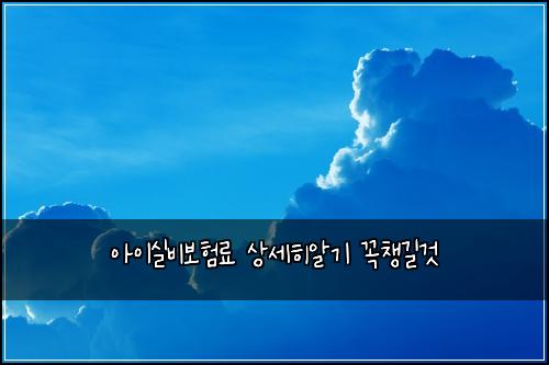 아이실비보험료 상세히알기 꼭챙길것