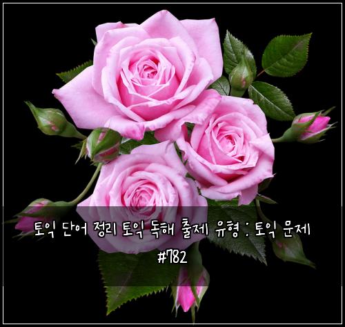 토익 단어 정리 토익 독해 출제 유형 : 토익 문제 #782