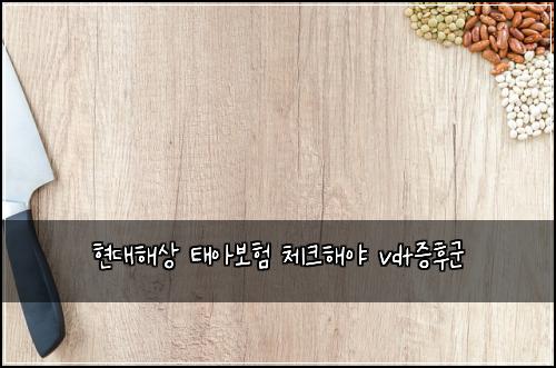 현대해상 태아보험 체크해야  vdt증후군