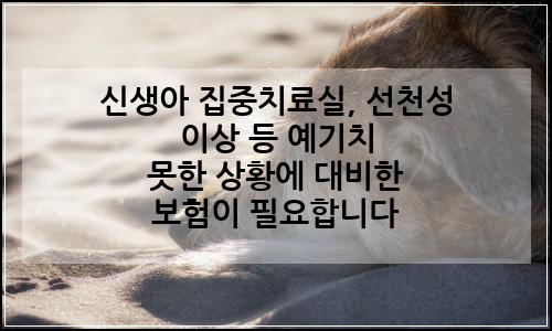 오늘의 이미지