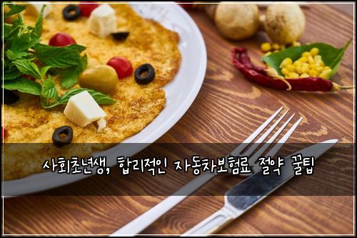  사회초년생, 합리적인 자동차보험료 절약 꿀팁