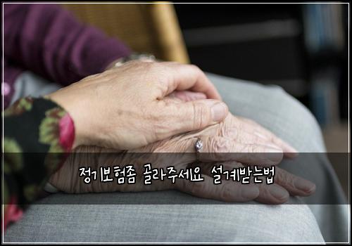 정기보험좀 골라주세요 설계받는법