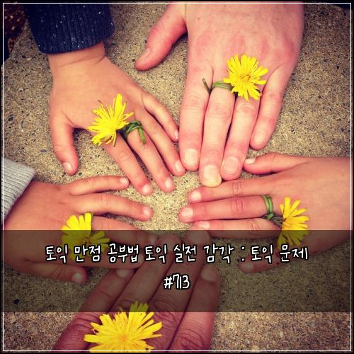 토익 만점 공부법 토익 실전 감각 : 토익 문제 #713