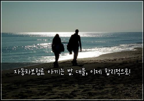 자동차보험료 아끼는 법: 대물, 이제 합리적으로!
