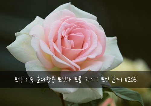 토익 기출 문제활용 토익과 토플 차이 : 토익 문제 #206