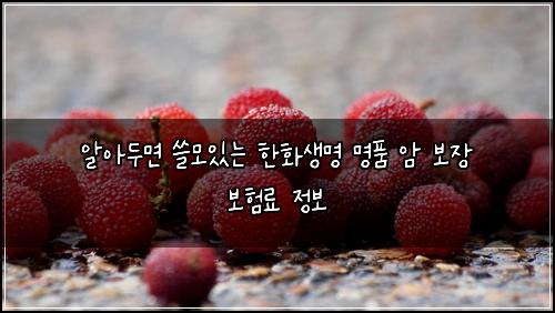  알아두면 쓸모있는 한화생명 명품 암 보장 보험료 정보
