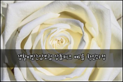 생활비받는암보험 상품체크  빠름 확인과정
