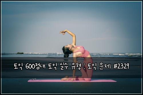 토익 600점대 토익 실수 유형 : 토익 문제 #2329