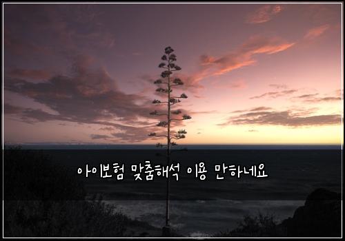์์ด๋ณดํ ๋ง์ถคํด์ ์ด์ฉ ๋งํ๋ค์