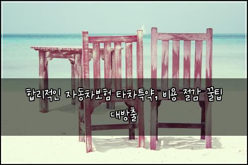  합리적인 자동차보험 타차특약, 비용 절감 꿀팁 대방출