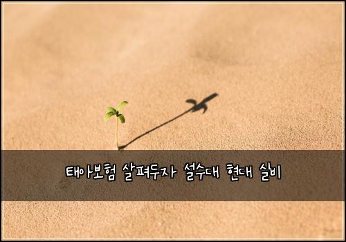 ํ์๋ณดํ ์ดํด๋์ ์ค์๋ ํ๋ ์ค๋น