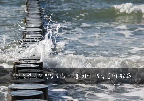 토익 성적 유지 방법 토익과 토플 차이 : 토익 문제 #203