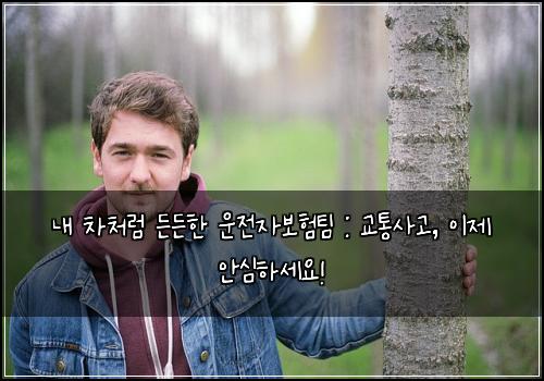  내 차처럼 든든한 운전자보험팀 : 교통사고, 이제 안심하세요!