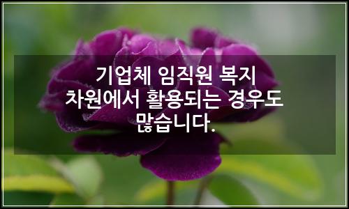 오늘의 이미지