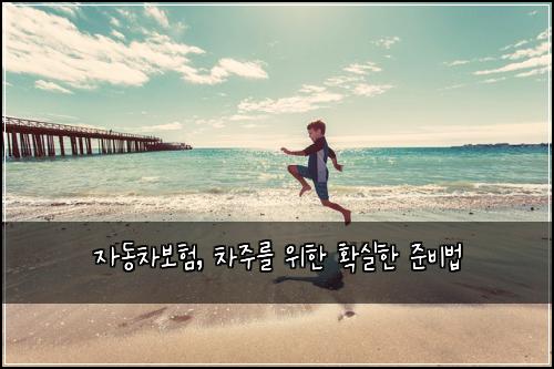 자동차보험, 차주를 위한 확실한 준비법
