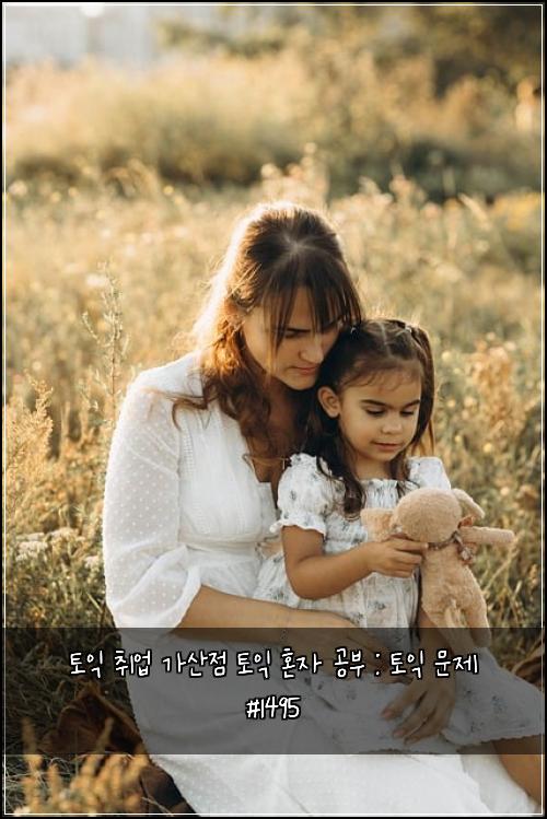 토익 취업 가산점 토익 혼자 공부 : 토익 문제 #1495
