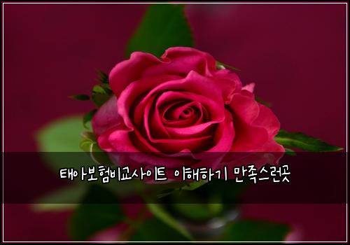 태아보험비교사이트 이해하기 만족스런곳