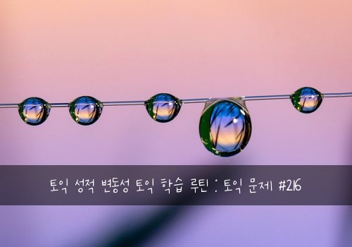 토익 성적 변동성 토익 학습 루틴 : 토익 문제 #216