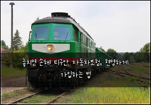  놓치면 손해! 티구안 자동차보험, 현명하게 가입하는 법