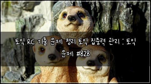 토익 RC 기출 문제 정리 토익 집중력 관리 : 토익 문제 #828