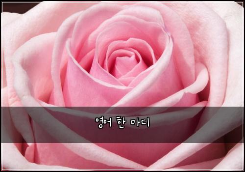 영어 한 마디