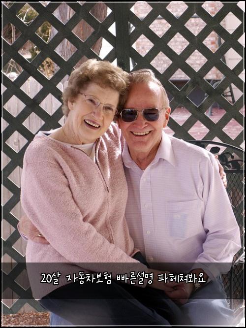20μ΄ μλ차보ν λΉ λ₯Έμ€λͺ
νν€μ³λ΄μ