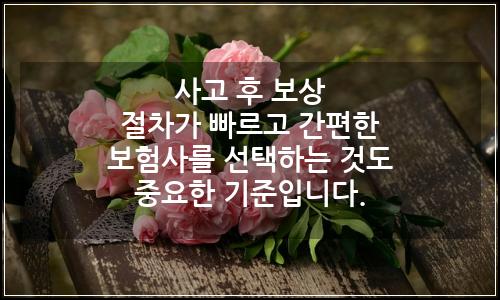 오늘의 이미지