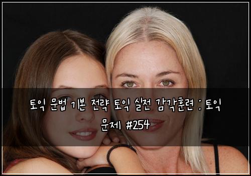 토익 문법 기본 전략 토익 실전 감각훈련 : 토익 문제 #254