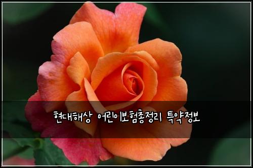 현대해상 어린이보험총정리 특약정보