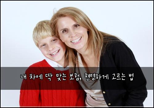  내 차에 딱 맞는 보험, 현명하게 고르는 법