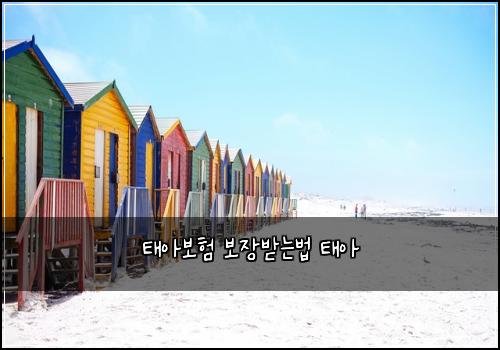 ํ์๋ณดํ ๋ณด์ฅ๋ฐ๋๋ฒ ํ์
