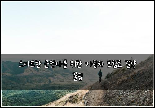  스마트한 운전자를 위한 자동차 보험료 절약 꿀팁