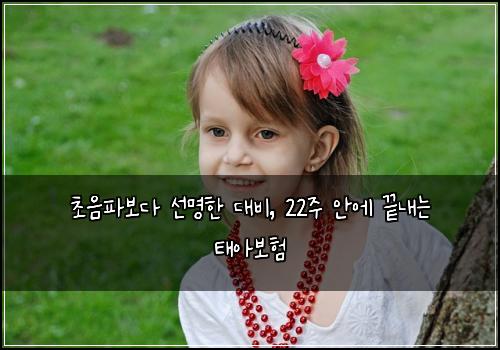  초음파보다 선명한 대비, 22주 안에 끝내는 태아보험