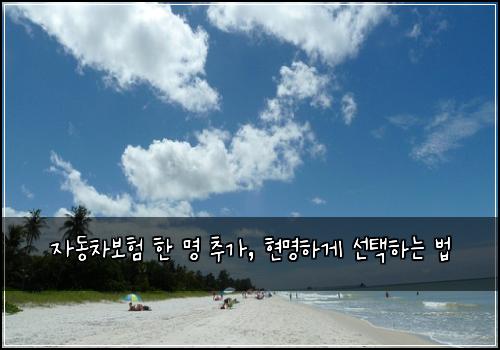 자동차보험 한 명 추가, 현명하게 선택하는 법