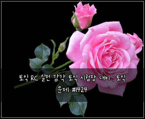 토익 RC 실전 감각 토익 시험장 대비 : 토익 문제 #1424