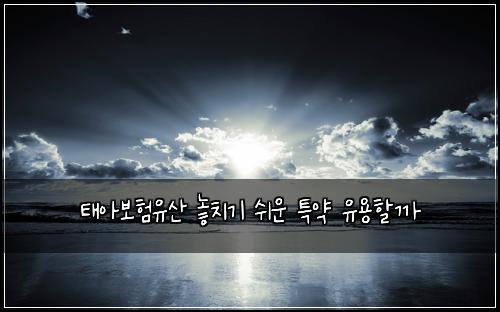 ํ์๋ณดํ์ ์ฐ ๋์น๊ธฐ ์ฌ์ด ํน์ฝ ์ ์ฉํ ๊น