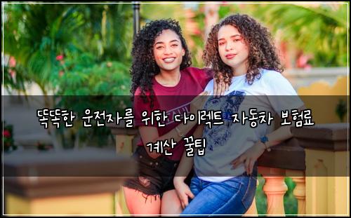  똑똑한 운전자를 위한 다이렉트 자동차 보험료 계산 꿀팁