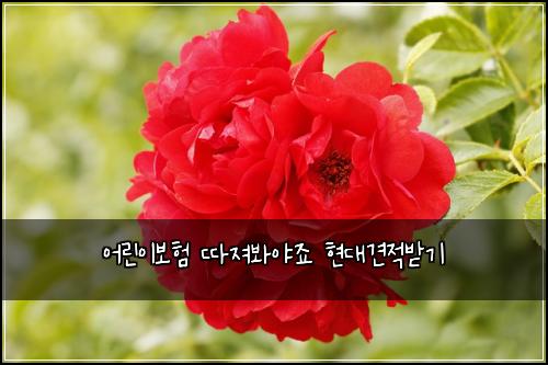 어린이보험 따져봐야죠  현대견적받기