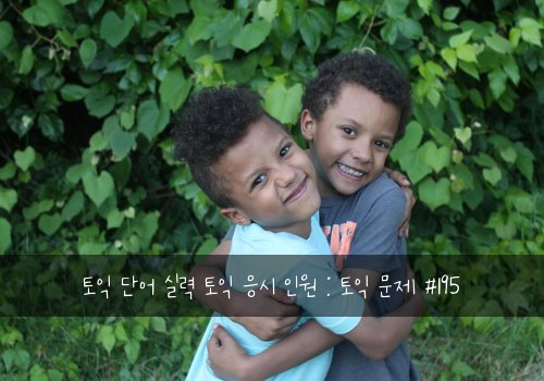 토익 단어 실력 토익 응시 인원 : 토익 문제 #195