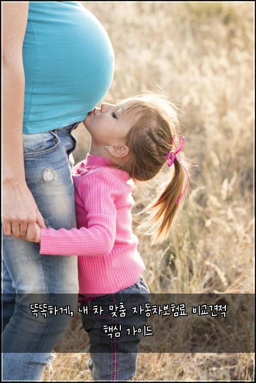  똑똑하게, 내 차 맞춤 자동차보험료 비교견적 핵심 가이드