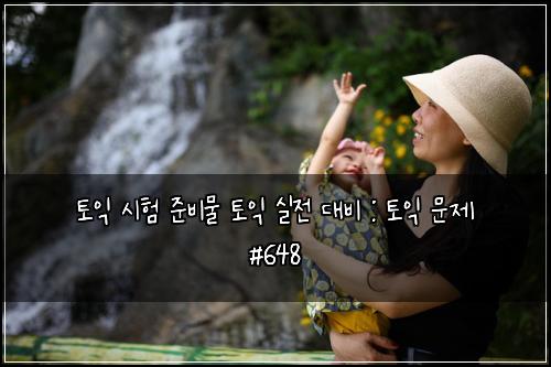 토익 시험 준비물 토익 실전 대비 : 토익 문제 #648