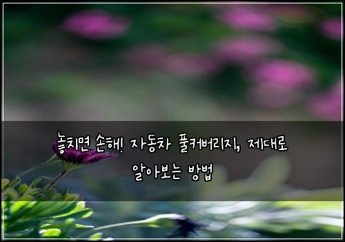  놓치면 손해! 자동차 풀커버리지, 제대로 알아보는 방법
