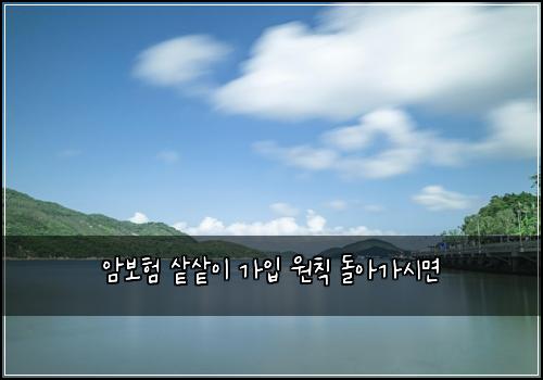 ์๋ณดํ ์
์
์ด ๊ฐ์
์์น ๋์๊ฐ์๋ฉด