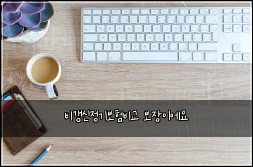 비갱신정기보험비교 보장이에요