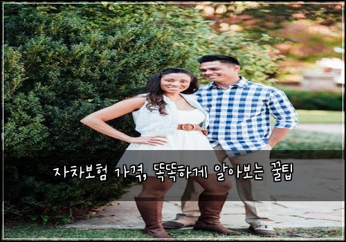 자차보험 가격, 똑똑하게 알아보는 꿀팁